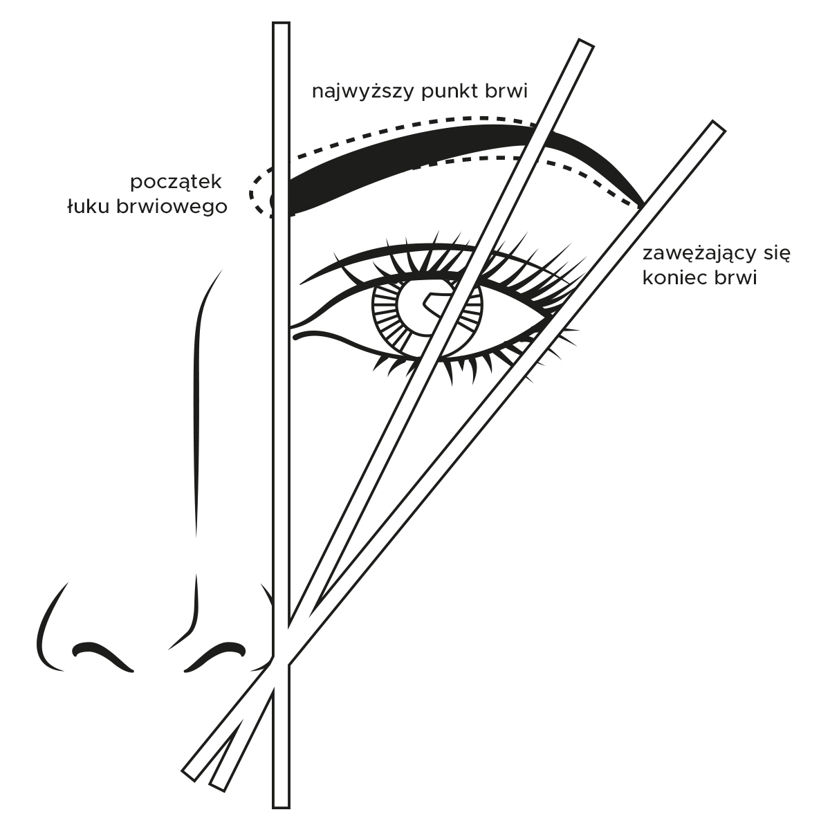 21_03_05 eyebrow products illustration with text.jpg